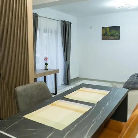 Apartment Studio C1 & 6 Km To Voronet Monastery *